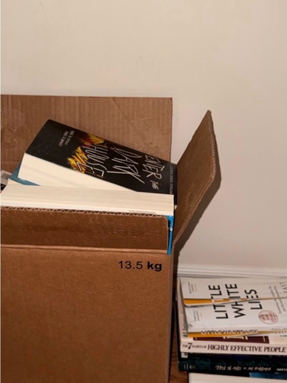 📚Mystery Bundle 10 Books